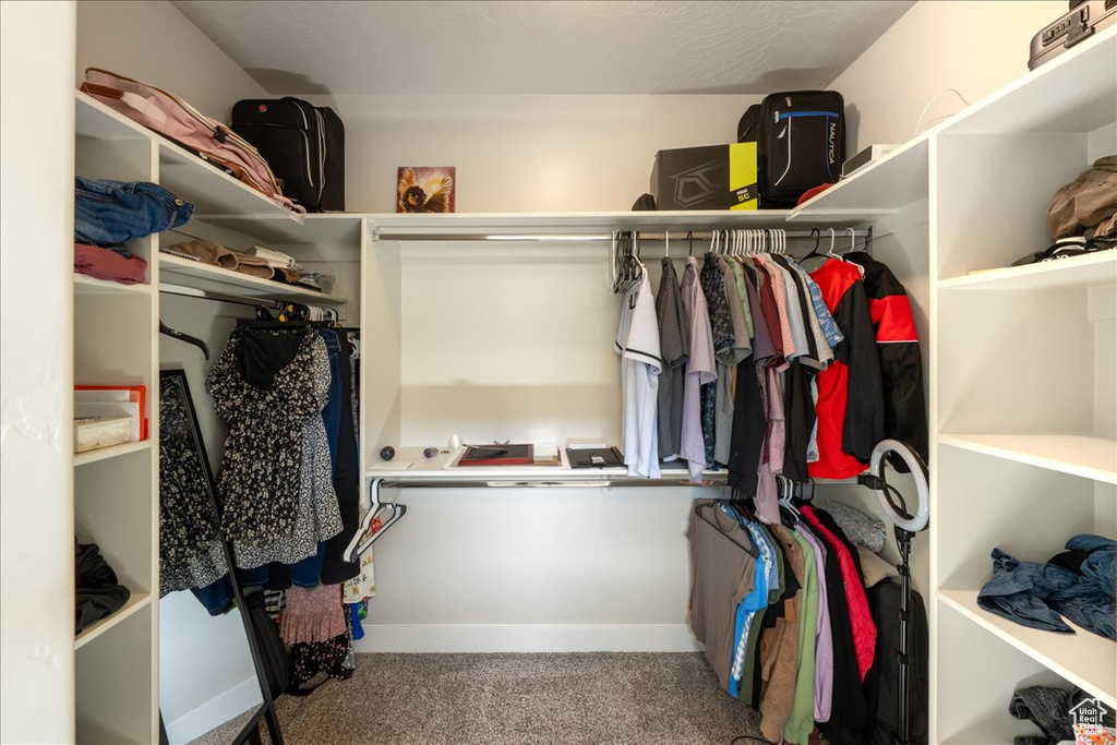 Walk in closet featuring carpet floors