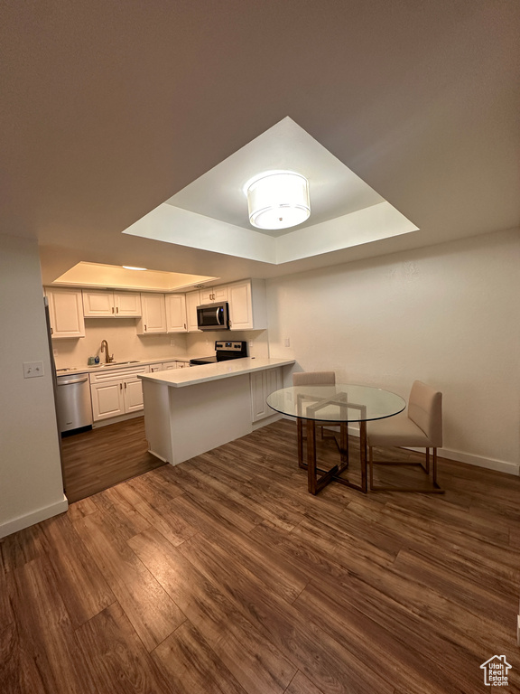Kitchen with stainless steel appliances, a raised ceiling, baseboards, and a peninsula