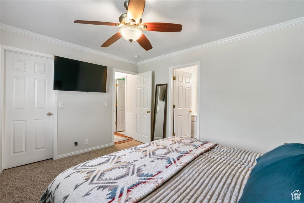 Bedroom featuring carpet, ornamental molding, baseboards, and a ceiling fan