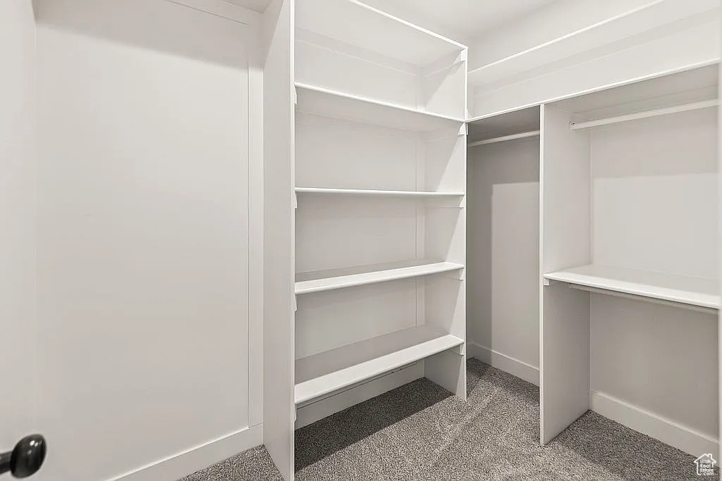 Spacious closet with carpet floors