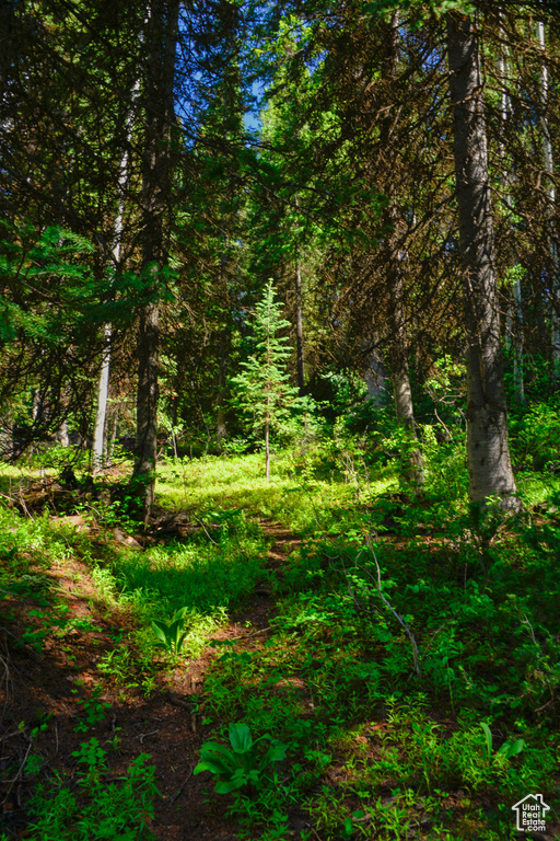 View of nature