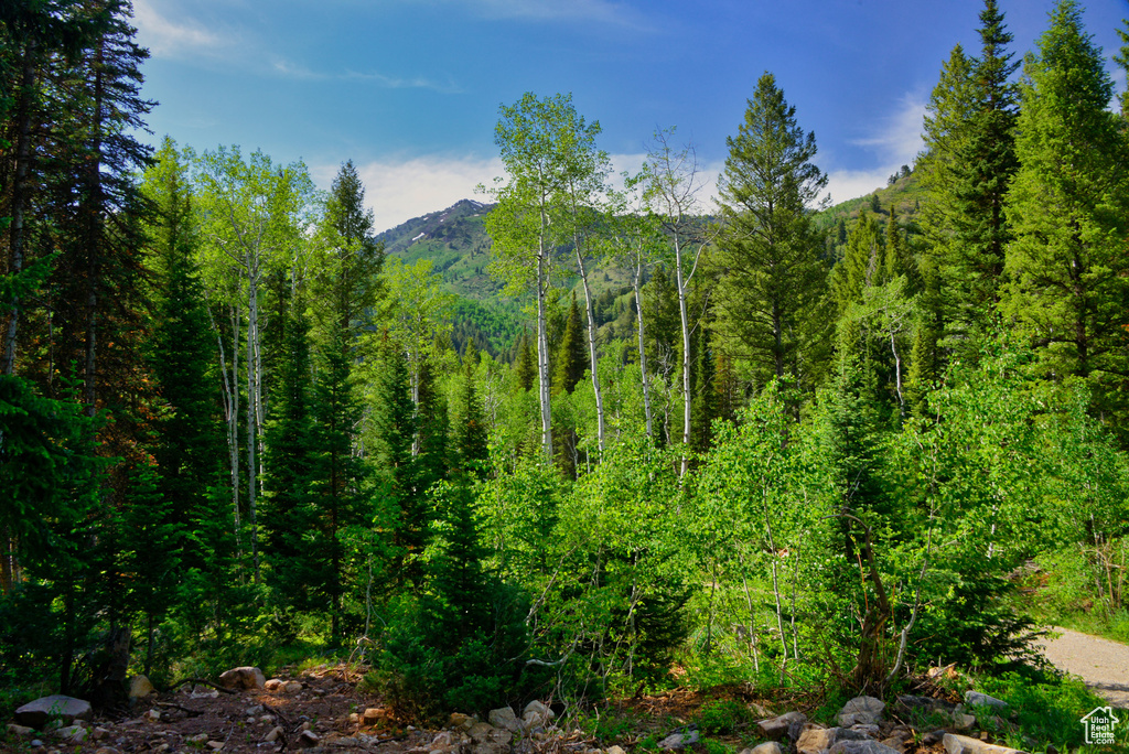 View of mountain background featuring a forest