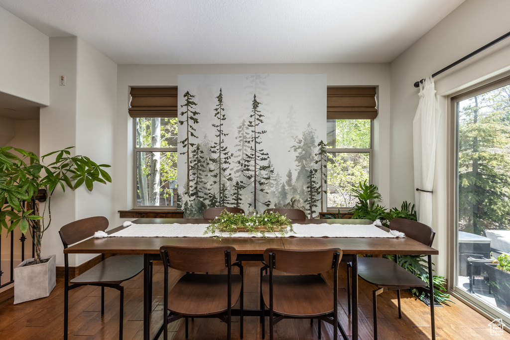 Dining area featuring wood finished floors and plenty of natural light