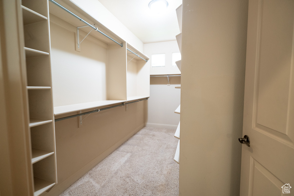 Spacious closet featuring light carpet