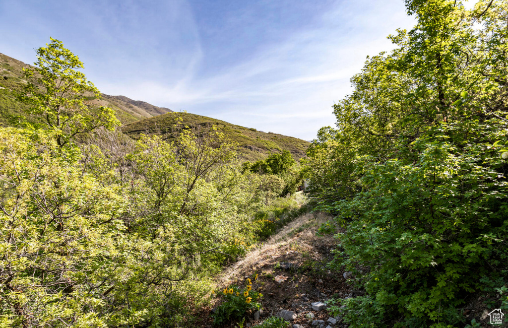 View of mountain backdrop