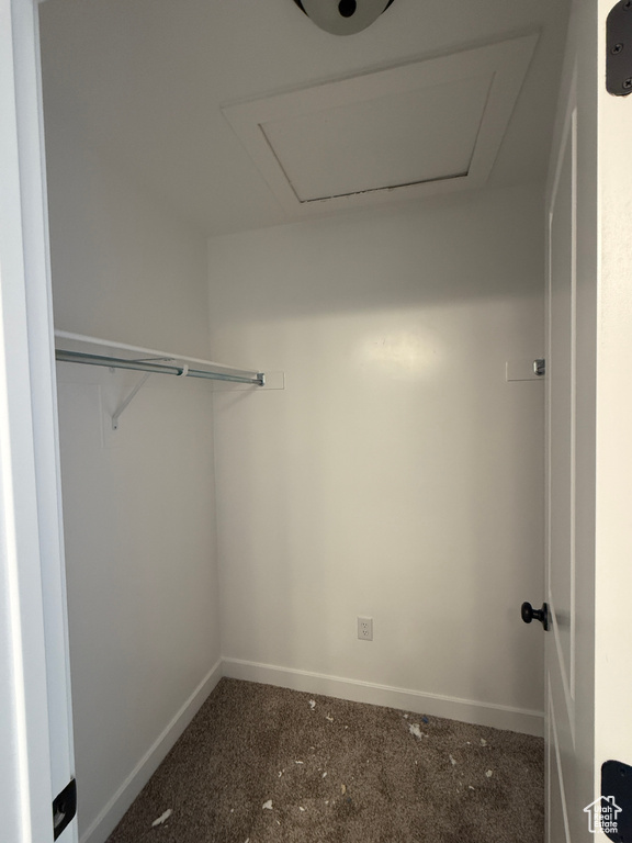 Walk in closet featuring carpet flooring