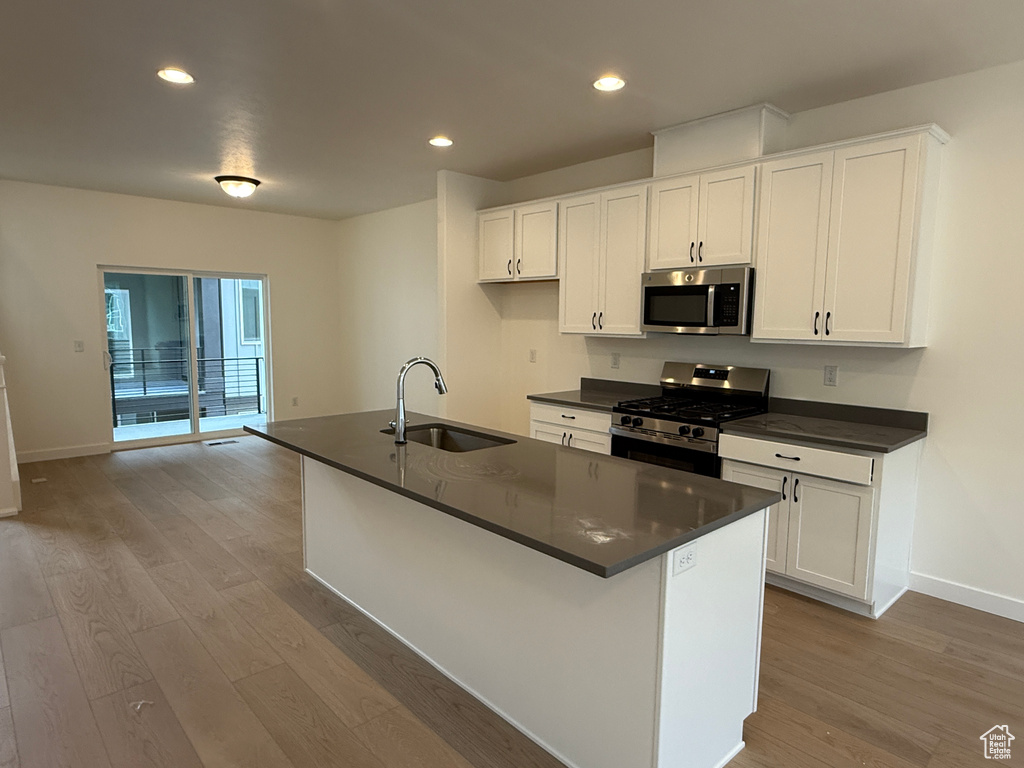 Kitchen with stainless steel appliances, a sink, dark countertops, light wood-style flooring, and recessed lighting