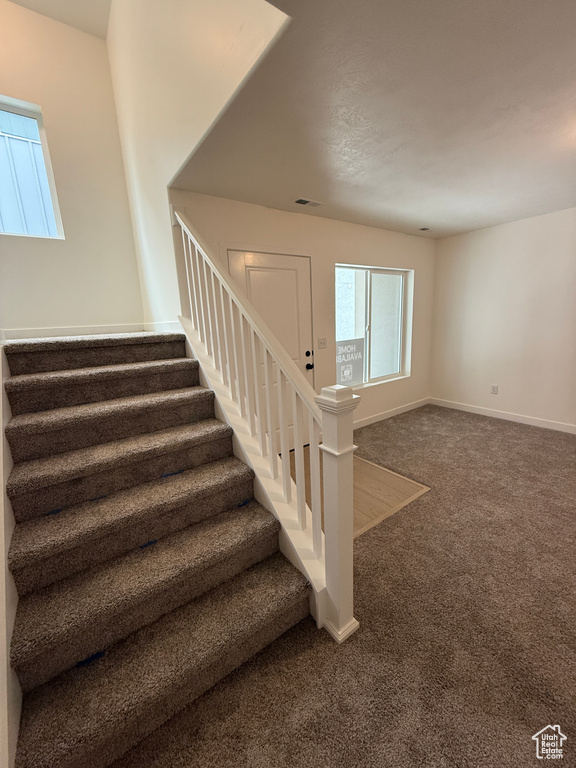 Stairway with carpet and baseboards