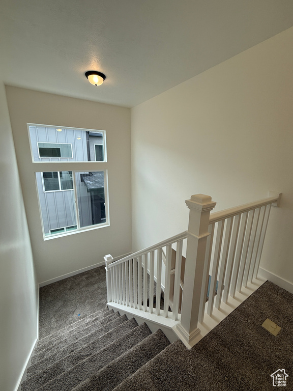 Staircase featuring carpet flooring and baseboards