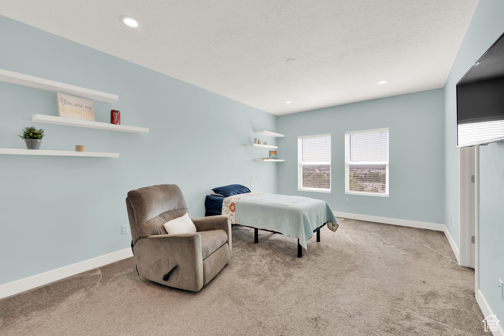 Bedroom with carpet floors, baseboards, and recessed lighting