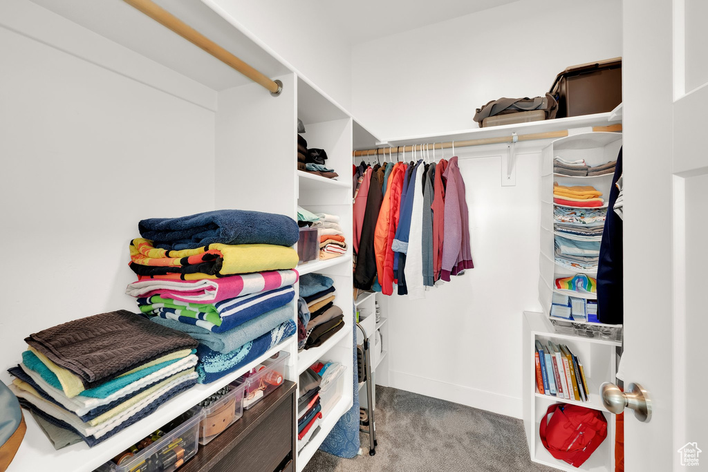 Spacious closet featuring carpet floors