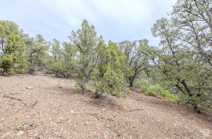 292 E HIGHWAY 89 Indianola, UT 84629