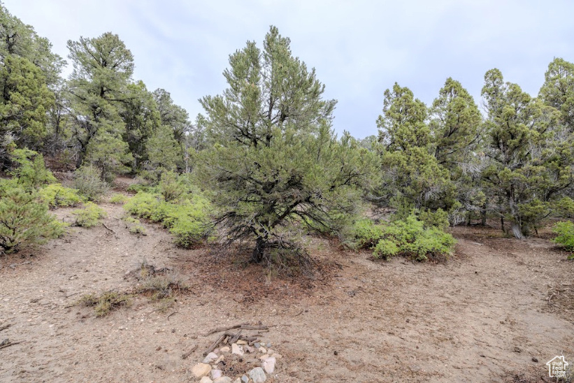 292 E HIGHWAY 89 Indianola, UT 84629