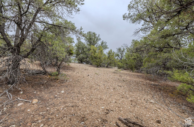 292 E HIGHWAY 89 Indianola, UT 84629