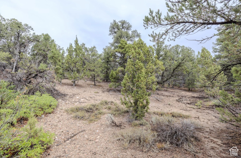 292 E HIGHWAY 89 Indianola, UT 84629