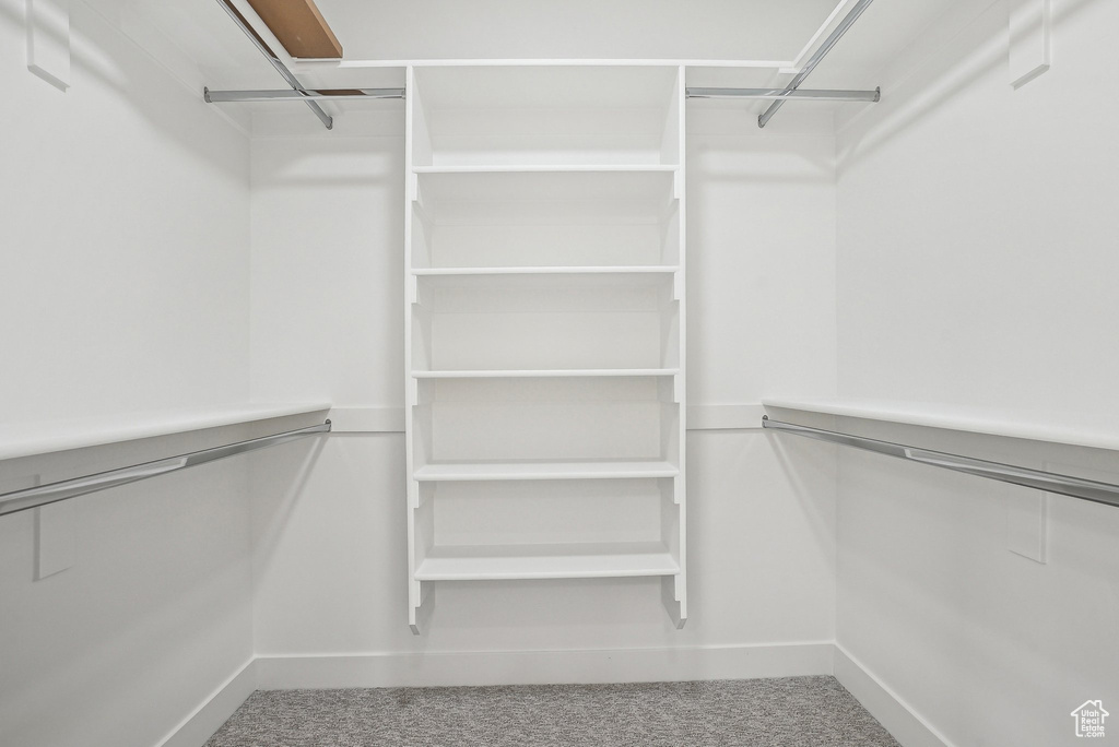 Walk in closet featuring carpet flooring