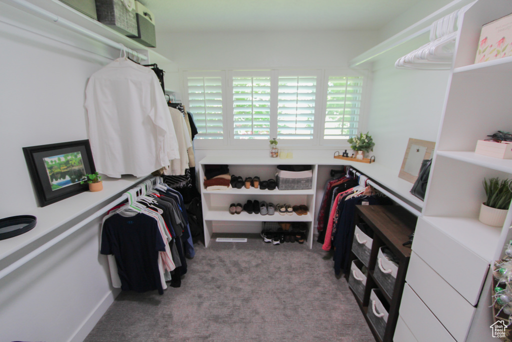 Walk in closet with carpet floors