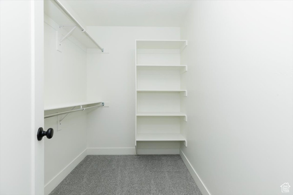 Spacious closet featuring carpet