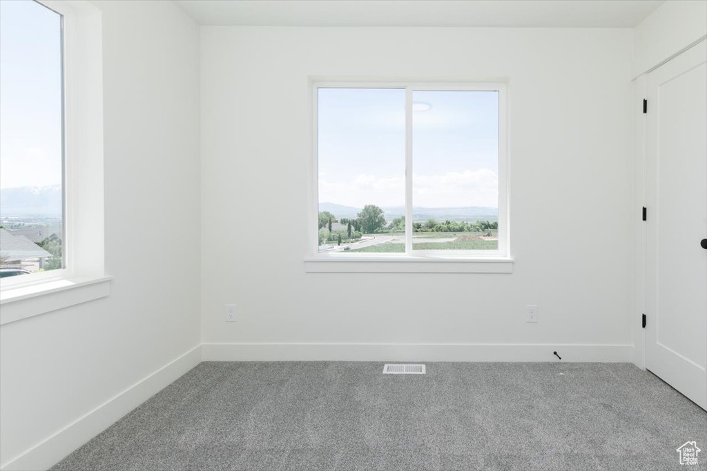 Unfurnished room with carpet floors, plenty of natural light, and baseboards