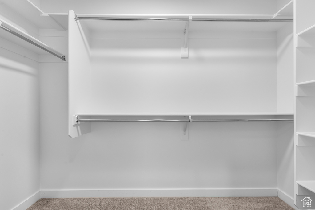 Spacious closet featuring carpet