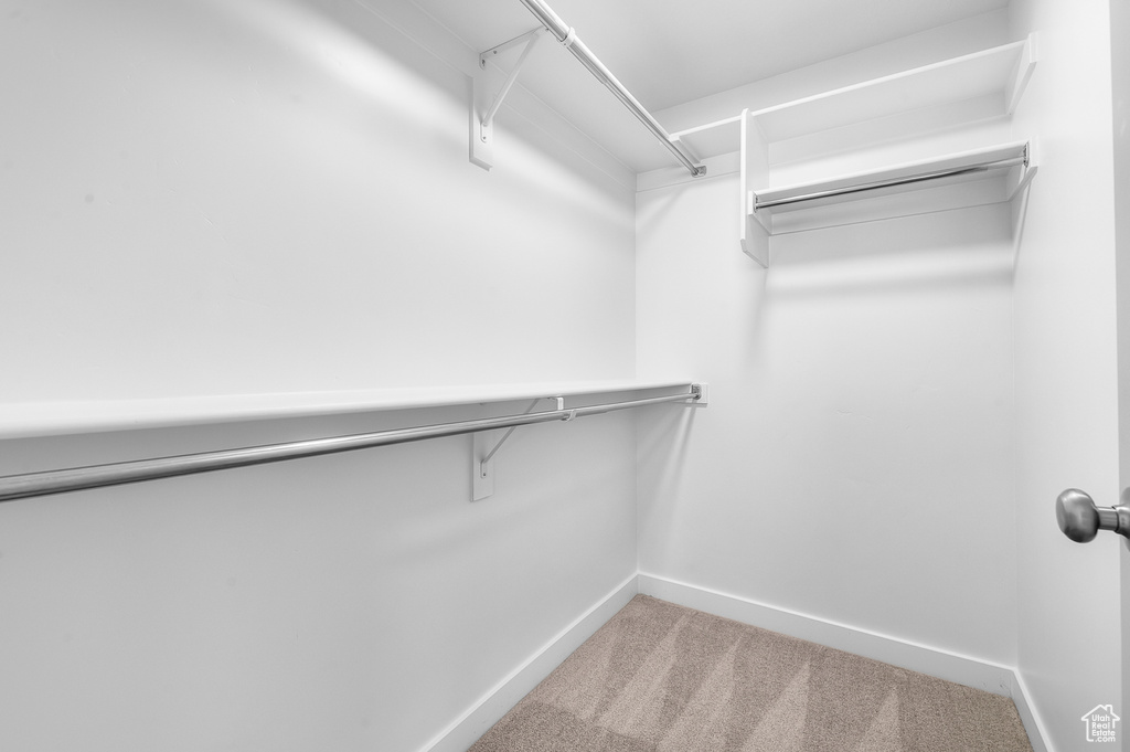 Spacious closet featuring carpet