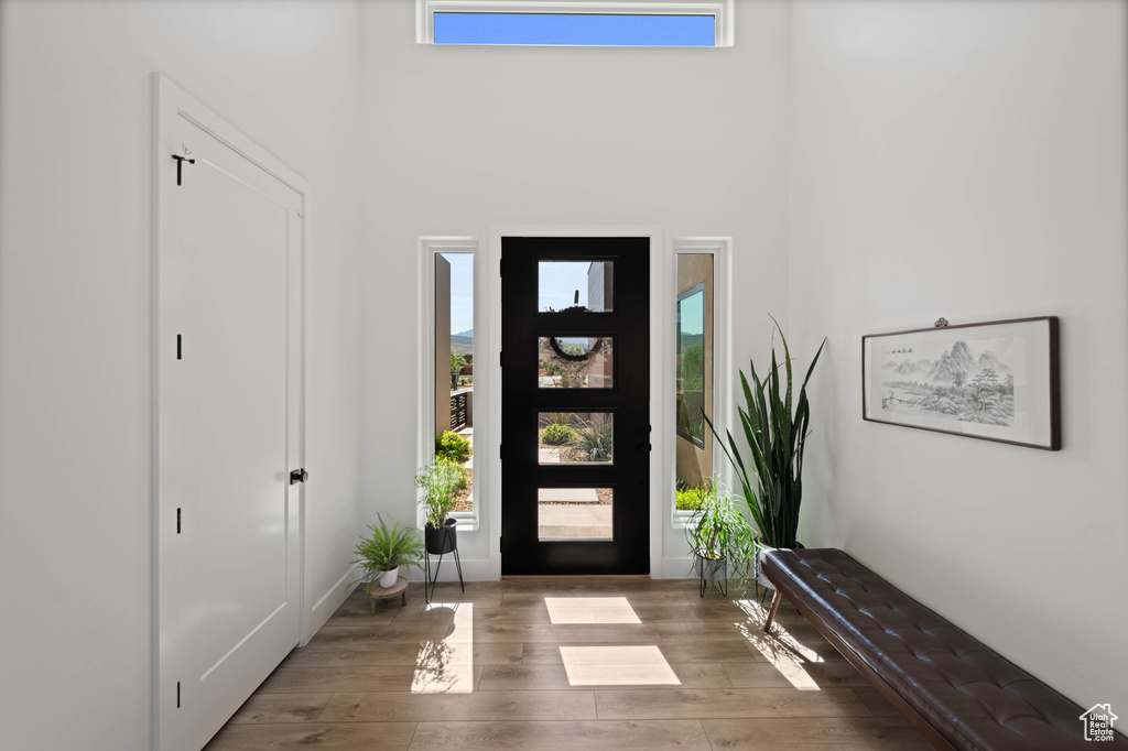 Entrance foyer featuring plenty of natural light, wood finished floors, and a high ceiling