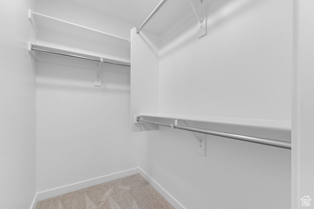 Walk in closet with carpet flooring
