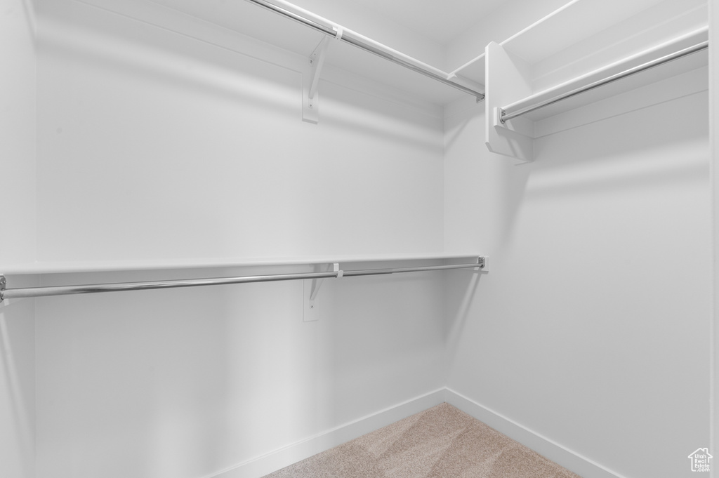 Walk in closet featuring carpet
