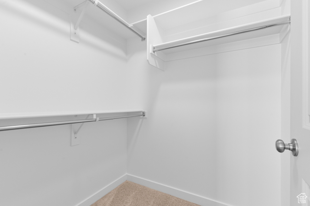 Walk in closet featuring carpet