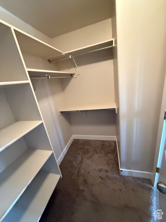Walk in closet featuring carpet floors