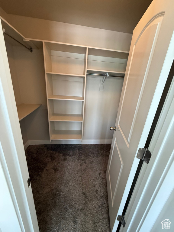 Walk in closet featuring carpet