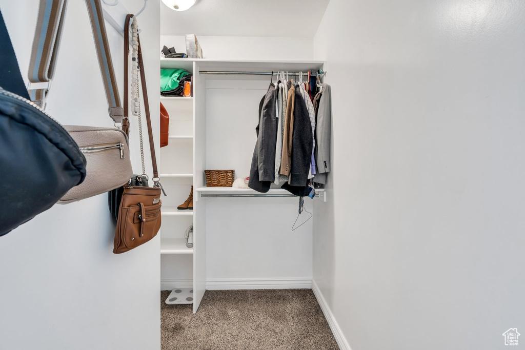 Spacious closet with carpet floors