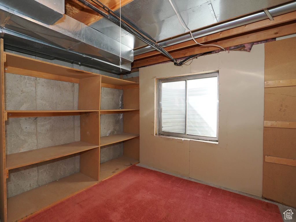 Basement featuring carpet