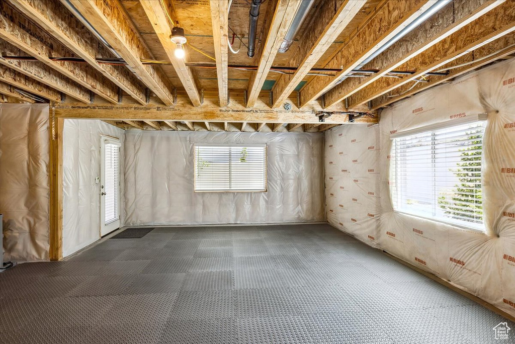 Basement with plenty of natural light and carpet floors