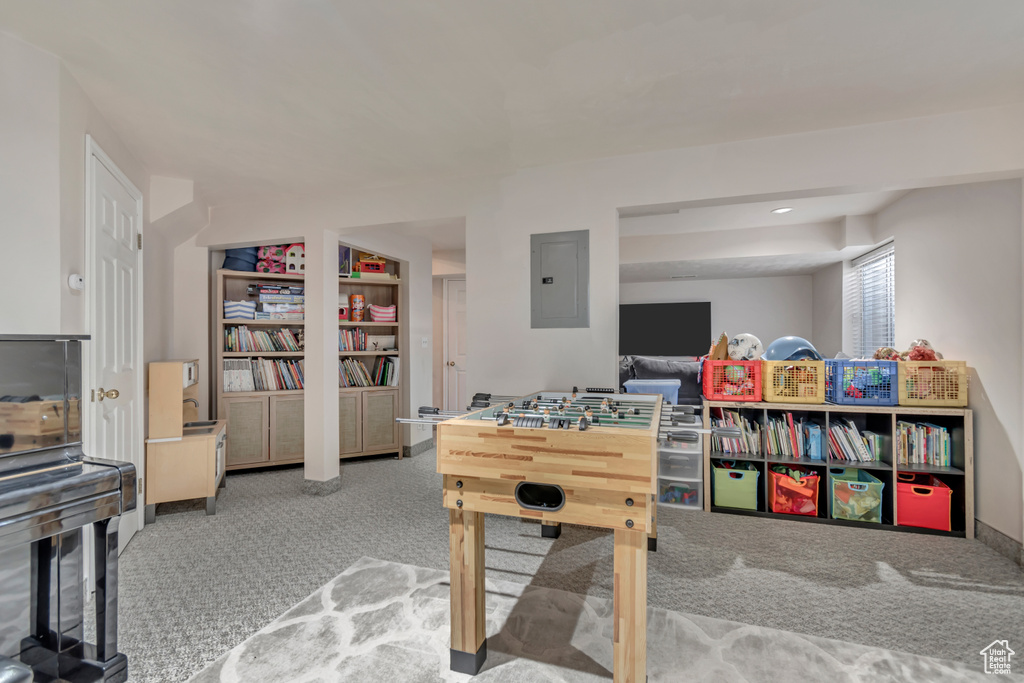 Playroom with electric panel and carpet floors