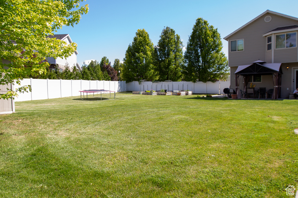 View of yard with a trampoline