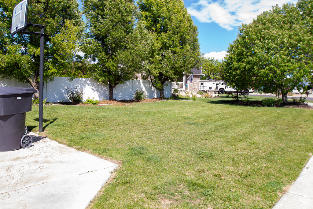 View of yard