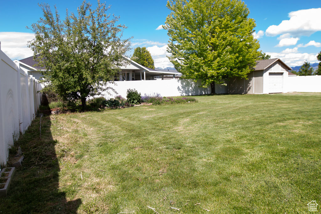 View of yard