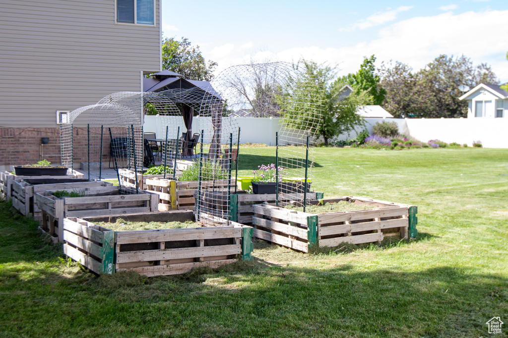 View of yard featuring a garden
