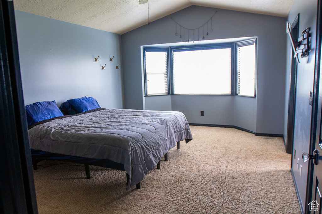 Bedroom with light colored carpet, lofted ceiling, a textured ceiling, and baseboards