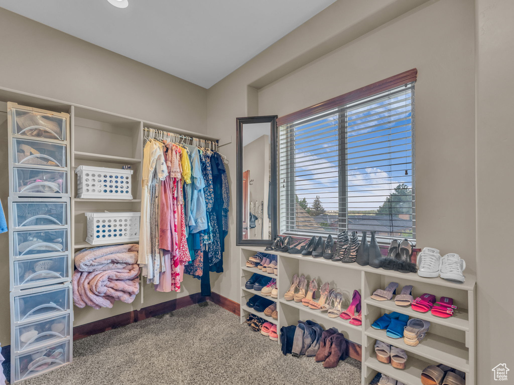 Walk in closet with carpet