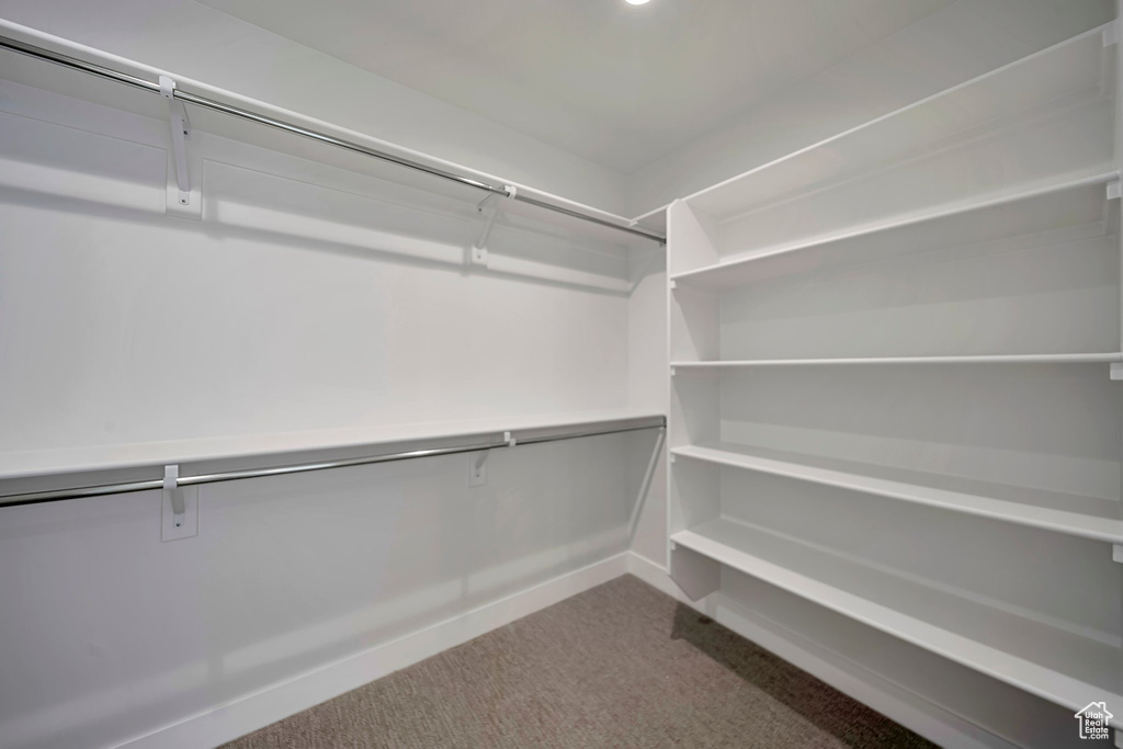 Spacious closet with dark colored carpet