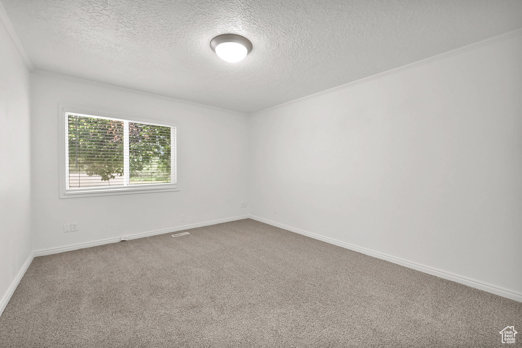 Carpeted spare room featuring a textured ceiling, crown molding, and baseboards