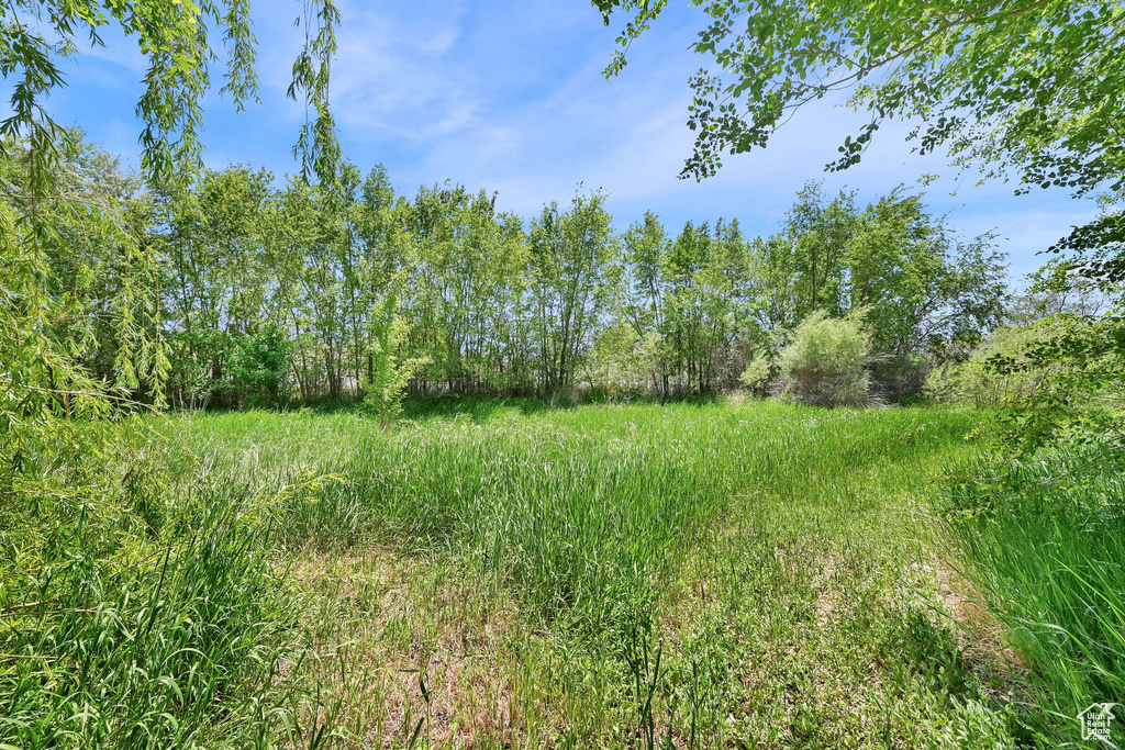 View of undeveloped land