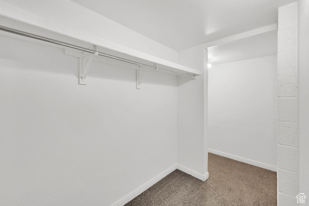 Walk in closet with carpet flooring