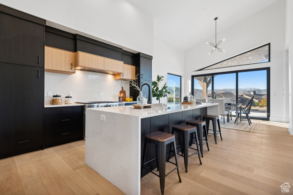 Kitchen with high vaulted ceiling, light countertops, light wood finished floors, modern cabinets, and an island with sink