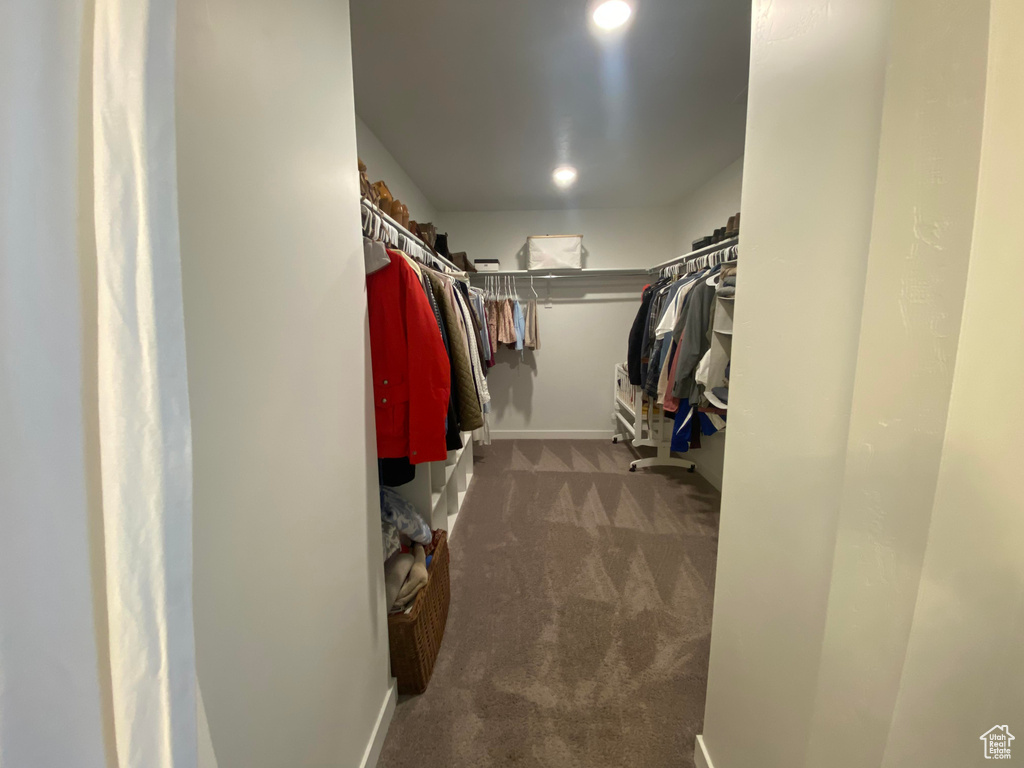 Spacious closet with carpet floors
