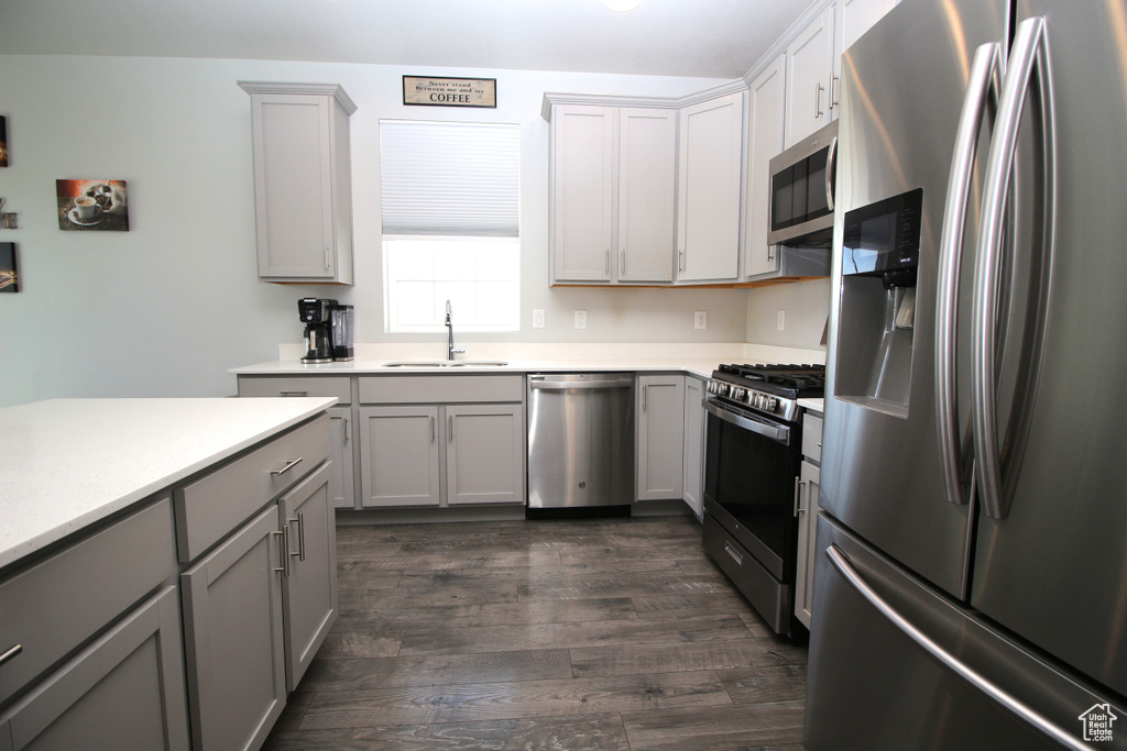 Kitchen featuring appliances with stainless steel finishes, a sink, gray cabinetry, dark wood-style floors, and light countertops