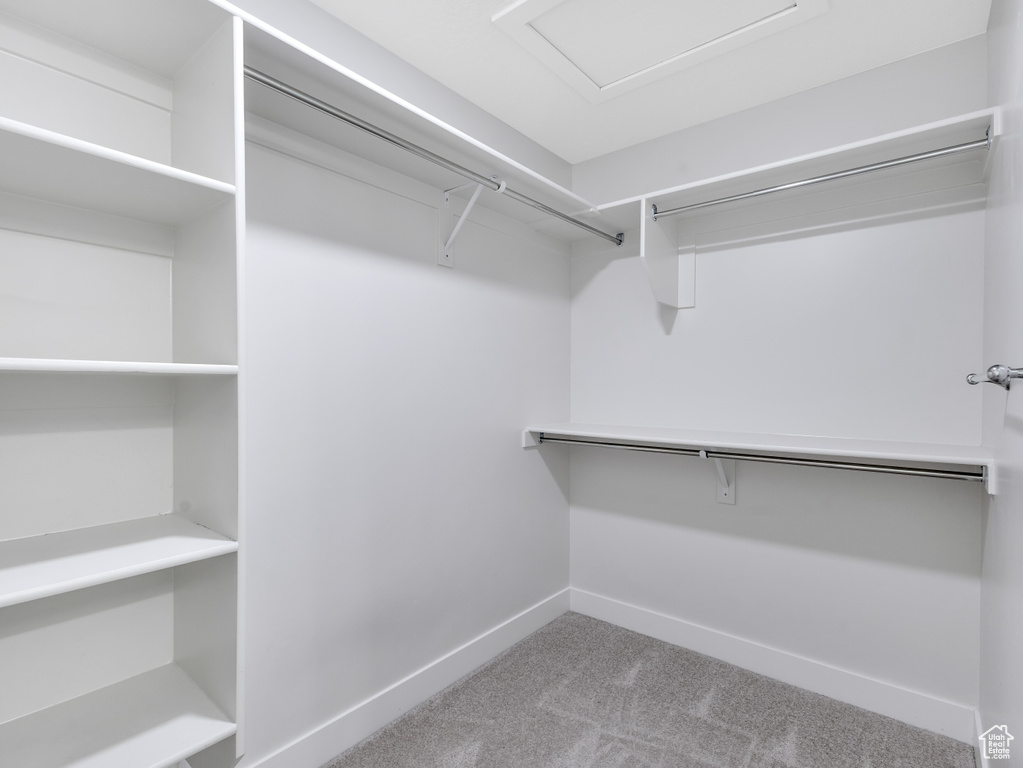 Walk in closet featuring carpet floors