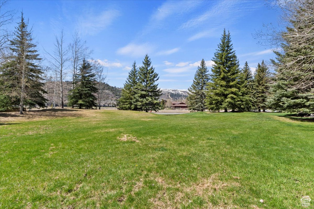 View of grassy yard with a mountain view